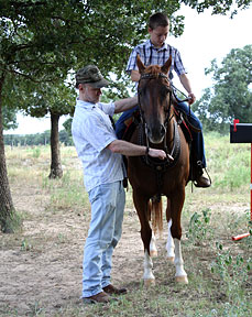 Phil straightening Josh's reins