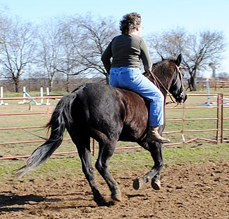 Loping Dylan bareback